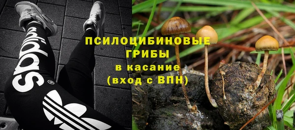 спайс Костерёво