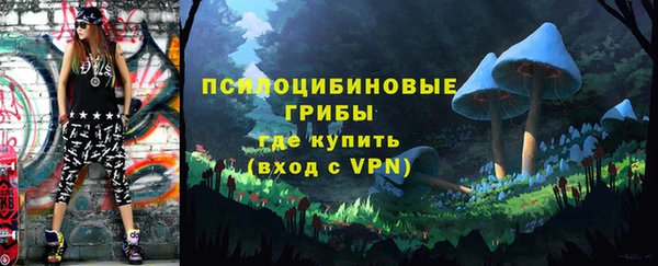 бошки Краснотурьинск
