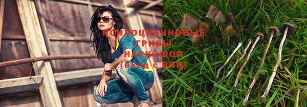 гидра Коряжма