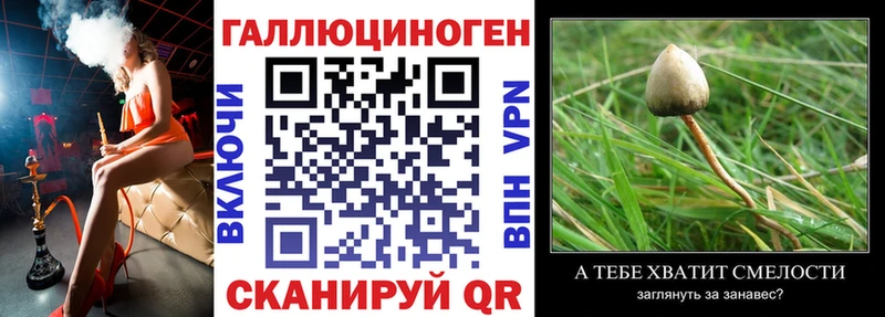 Галлюциногенные грибы Magic Shrooms Морозовск