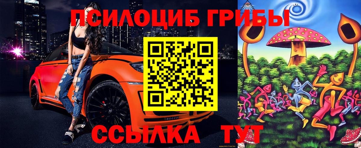 Псилоцибиновые грибы мицелий Морозовск
