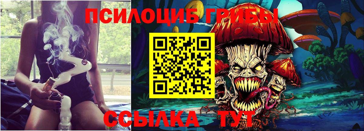 Псилоцибиновые грибы Cubensis Морозовск