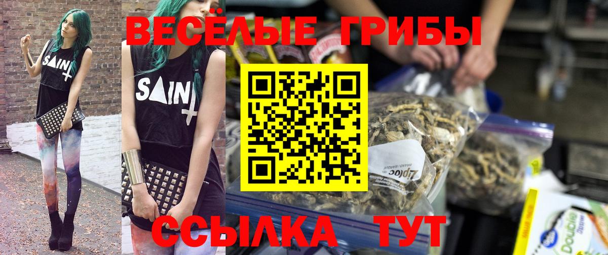 Галлюциногенные грибы MAGIC MUSHROOMS  Морозовск 