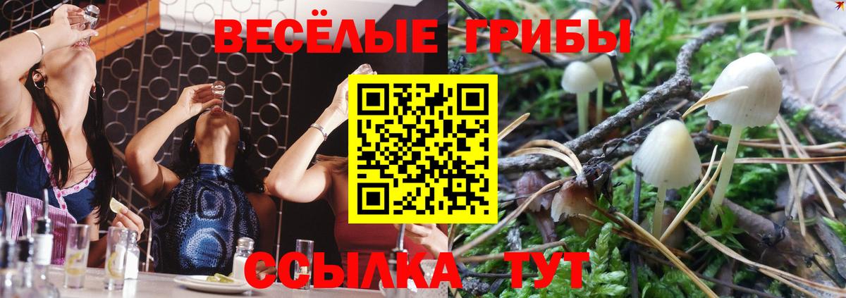 Морозовск  Галлюциногенные грибы Cubensis  Вход с VPN 